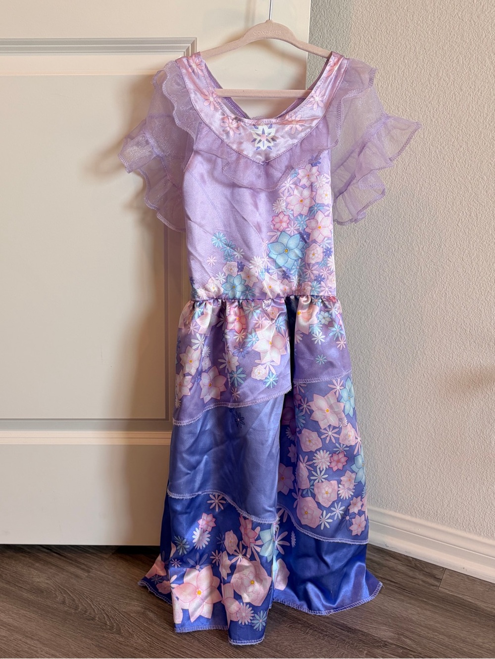 Disney Encanto Isabella girls costume